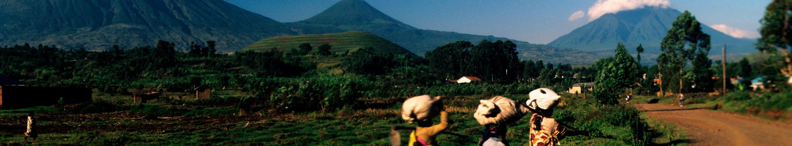 Ultimata Uganda och vulkantrek i Rwanda