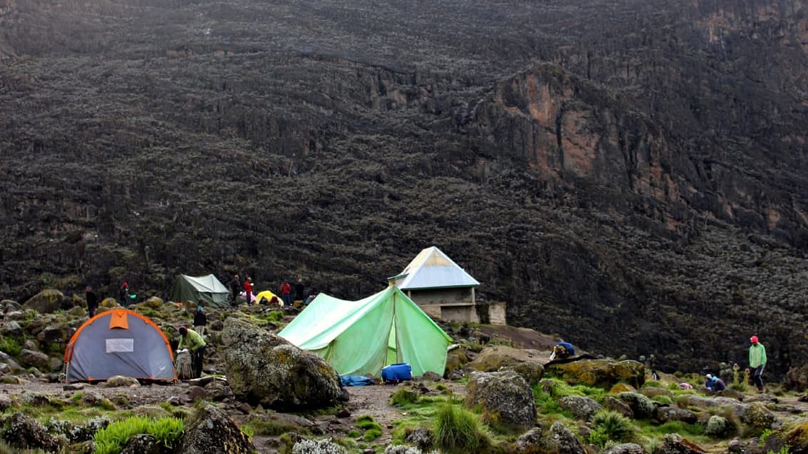 Trek till toppen av Kilimanjaro