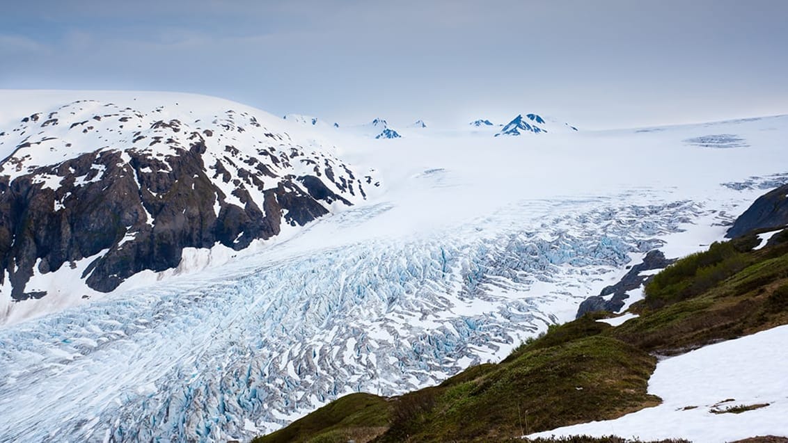 Exit Glacier, Alaska, USA