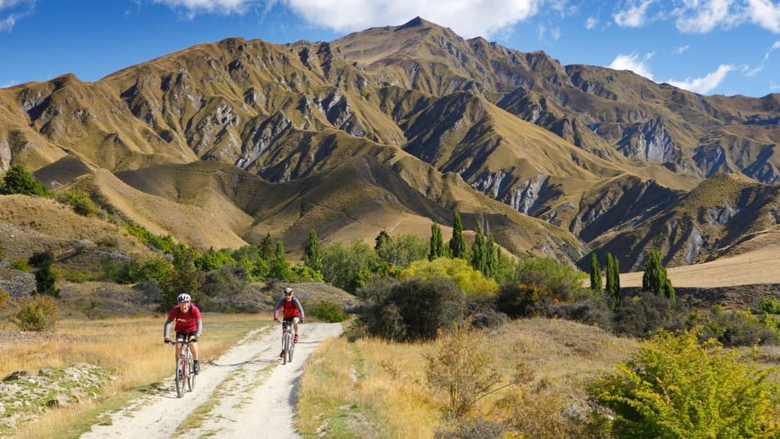 Cykling i Queenstown, Nya Zeeland
