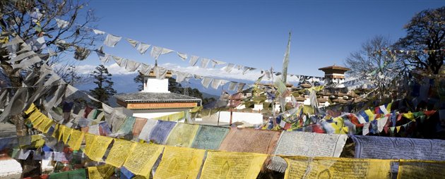 Farverige buddhistiske bedeflag blafrer i vinden, Bhutan