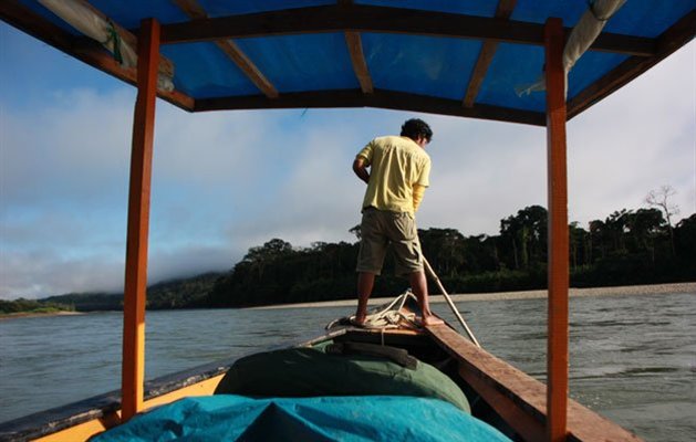 Manu Nationalpark, Peru.