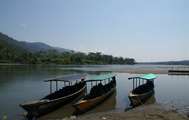 Manu Nationalpark, Peru.