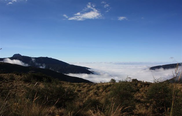 Manu Nationalpark, Peru.