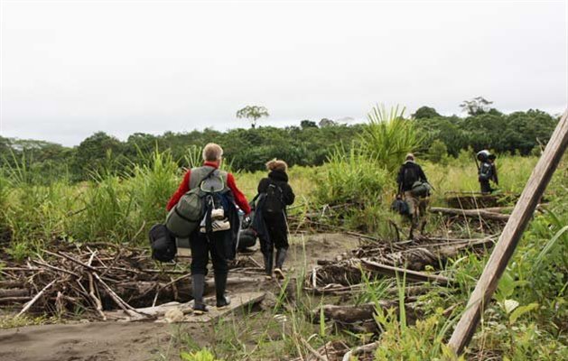 Manu Nationalpark, Peru.