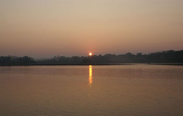 Manu Nationalpark, Peru.