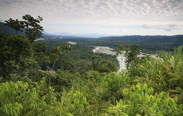 Manu Nationalpark, Peru.