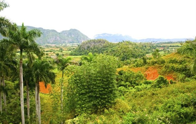 Viñales på Cuba