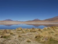 Lagune i Bolivias ørken. Lagune i Bolivias ørken.