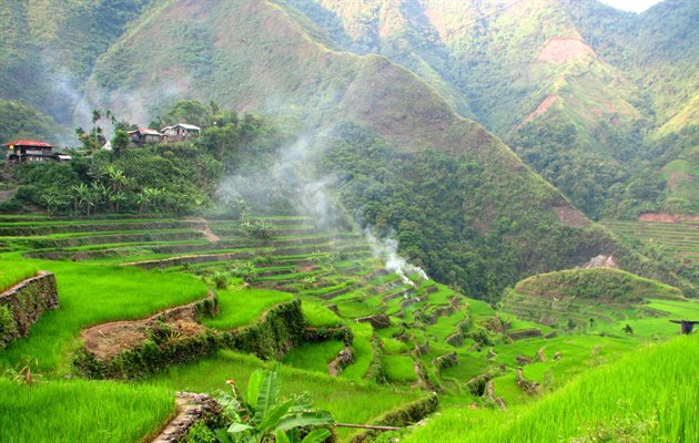 Risterrasser ved Banaue i Filippinerne