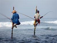 Fiskere Sri Lanka