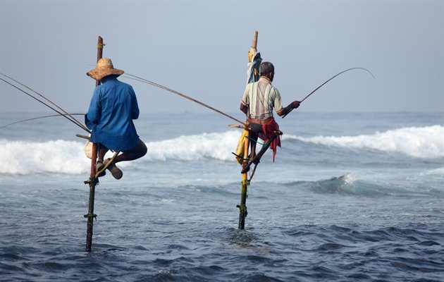 Fiskere Sri Lanka