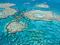 Great Barrier Reef, Australien