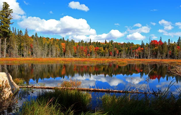 Algonquin Provincial Park, Canada