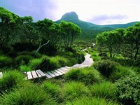 Cradle Mountain, Tasmanien, Australien