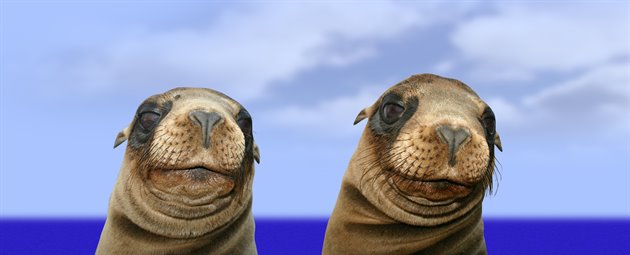Ecuador, Galapagos