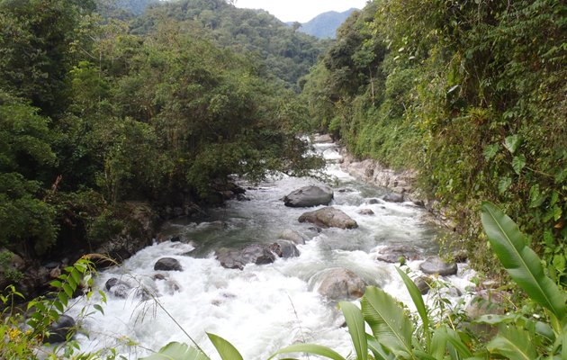 Buritaca floden ved Lost City Colombia