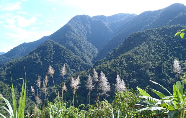 Udsigt fra Lost City Colombia