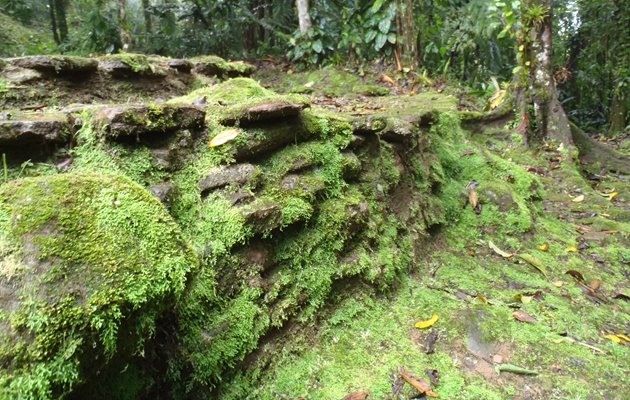 Terrasser ved Lost City Colombia