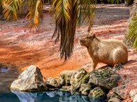 Sydamerikas 2. største vådområde efter Pantanal i Brasilien. Det mere end 1 mio. hektar store område består af både laguner, maskland og sumpområder og områdets flora og fauna er helt uforligneligt