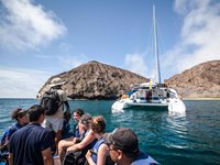 Nemo I er en katamaran med plads til 14 passagerer fordelt i syv kahytter. Med Nemo I får du en unik sejloplevelse ved Galapagos-øerne Nemo I er en katamaran med plads til 14 passagerer fordelt i syv kahytter. Med Nemo I får du en unik sejloplevelse ved Galapagos-øerne