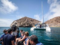 Nemo I er en katamaran med plads til 14 passagerer fordelt i syv kahytter. Med Nemo I får du en unik sejloplevelse ved Galapagos-øerne