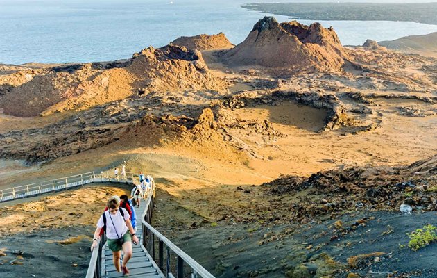De vulkaniske formationer er spektakulære på Bartolomé og vidner om Galapagos voldsomme naturkræfter. Der findes tilmed en mindre koloni af Galapagos pingviner