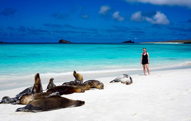 Du finder masser af smukke strande på Galapagos, men du skal dele dem med 