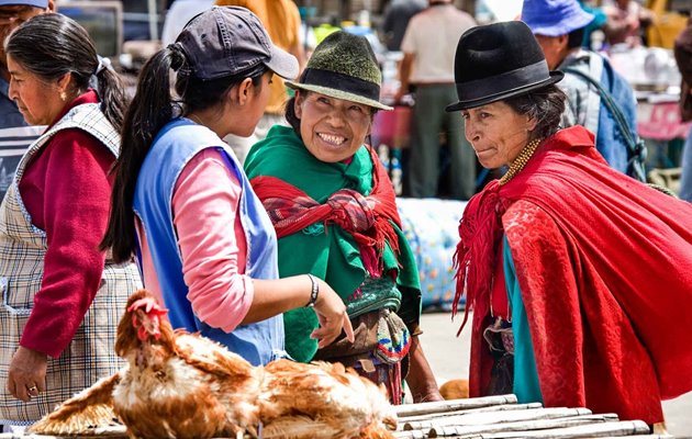 Följ med Winberg Travel på äventyr i Ecuador och på Galapagos