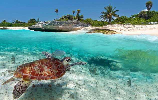Riviera Maya byder på lækre strande og det klareste vand