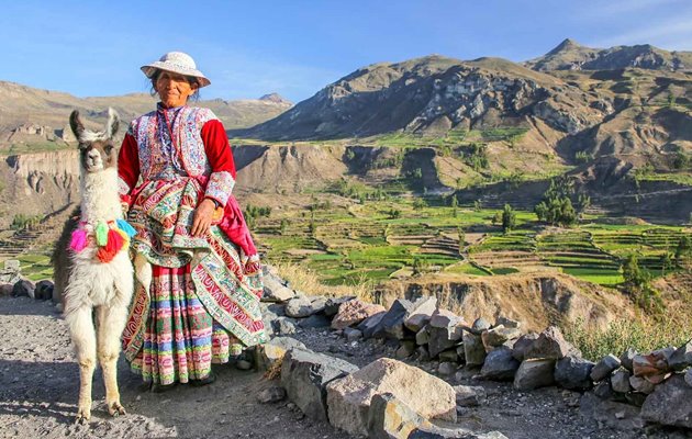 Colca Canyon kan både opleves som dagstur fra Arequipa eller flere dages vandretur