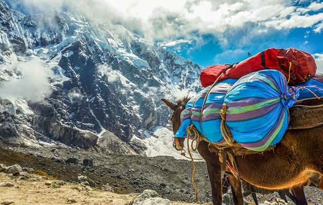 Det højeste bjergpas på Salkantay trekket er 4.650 meter over havets overflade. Undervejs på trekket vil du kunne opleve små hyggelige landsbyer, sneklædte bjerge og turkise laguner