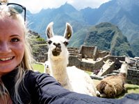 Lama-selfie!!!