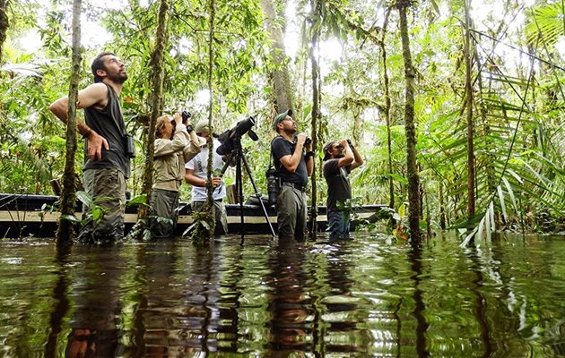 Cuyabeno-reservatet ligger i amazonjunglen. Her får du mulighed for at komme helt tæt på den spændende flora og fauna som f.eks. omfatter aber, fugle, anakondaer og den lyserøde floddelfin