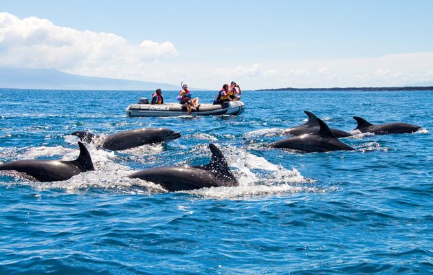 Tag med Jysk Rejsebureau på eventyr i Ecuador og på Galapagos