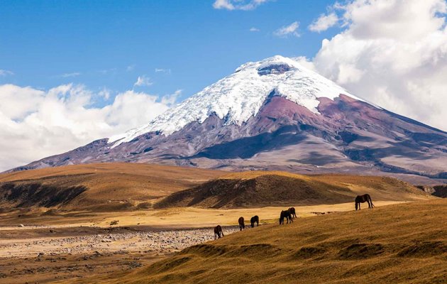 Tag med Jysk Rejsebureau på eventyr i Ecuador og på Galapagos