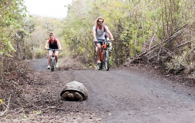 Tag med Jysk Rejsebureau på eventyr i Ecuador og på Galapagos