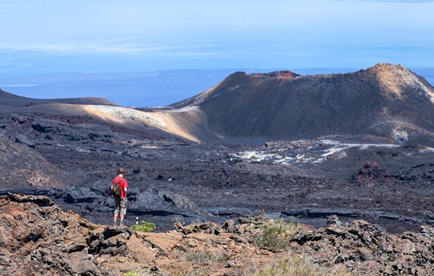 Tag med Jysk Rejsebureau på eventyr i Ecuador og på Galapagos