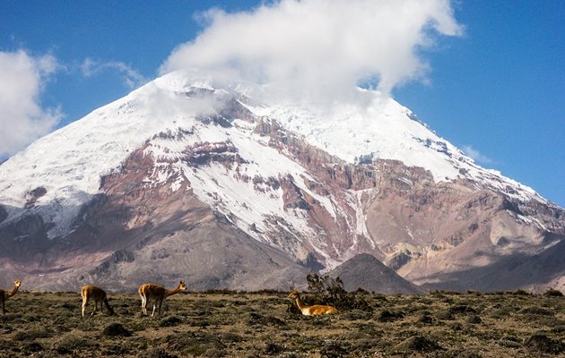 Tag med Jysk Rejsebureau på eventyr i Ecuador og på Galapagos