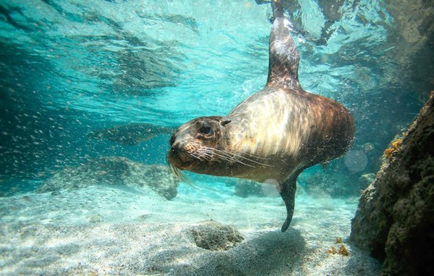 Tag med Jysk Rejsebureau på eventyr i Ecuador og på Galapagos