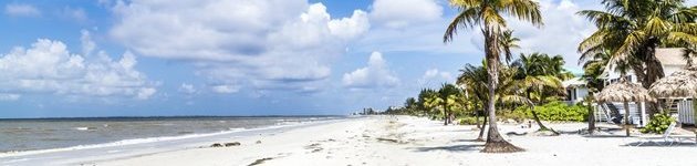 Njut av stränderna på Sanibel Island vid Fort Myers Njut av stränderna på Sanibel Island vid Fort Myers