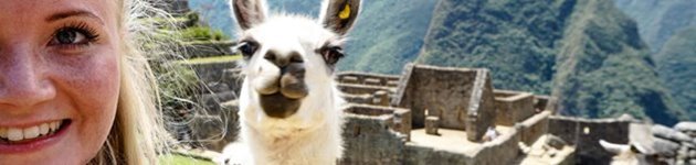 Lama-selfie!!! Lama-selfie!!!
