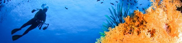 Följ med Winberg Travel på äventyr på fantastiska Fiji Följ med Winberg Travel på äventyr på fantastiska Fiji