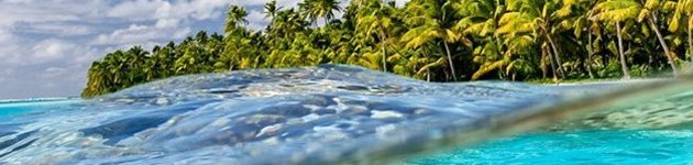 Det finns massor av spännande saker att göra på Cooköarna - allt från stränder, snorkling, caféliv, vandringar, söndagsgudstjänst till kryssningar vid världens vackraste laguner. Det finns massor av spännande saker att göra på Cooköarna - allt från stränder, snorkling, caféliv, vandringar, söndagsgudstjänst till kryssningar vid världens vackraste laguner.