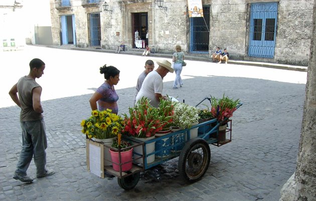 Lokal blomsterhandler