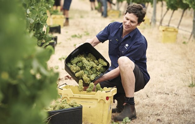 Working Holiday-visum och flygbiljett till Nya Zeeland | Winberg Trav