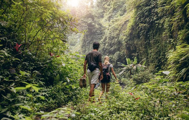 Jungletrek i Darien Nationalpark