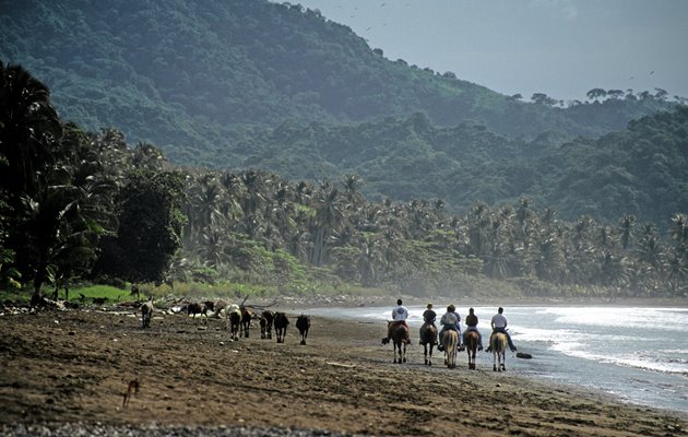 Oplev Costa Ricas fantastiske natur fra hesteryg