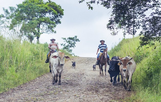 Mød Costa Ricas befolkning på landevejene