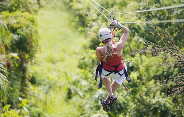 Tag på en sjov zip-lining tur i høj fart igennem Monterverdes tågeregnskov i Costa Rica